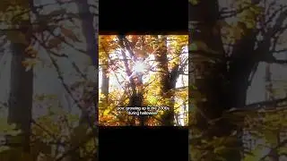 🎃🦇💀 #nostalgiacore #nostalgia #2000s #spookyseason #2000sthrowback 🍁🍂 🎃🍂 song: solace void