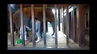 2025.12.26 15:53 ズゼ 寝室 足のケア