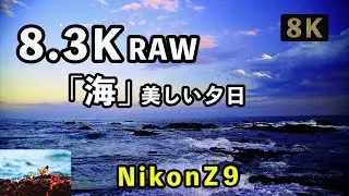 【Nikon Z9】8k映像「海」（N-RAW 12-bit 8.3K 60P）「風景動画」、「大磯照ヶ崎海岸」夕焼けがとても美しい