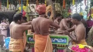 அகத்தியர் குரு பூஜை 06:1:26 சென்னை அம்பத்தூர் ஓரகடம் ஶ்ரீ வெங்கடேஸ்வரா நகரில் நடைபெற்றது 