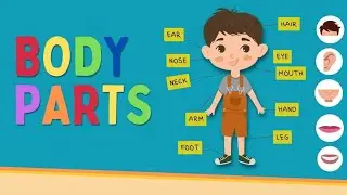 Body Parts Names for Kids | Fun English Learning song 