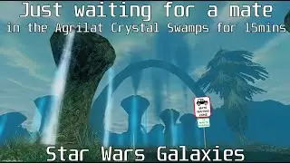 Star Wars Galaxies (SWG). Ambience & OST. In the Agrilat Crystal Swamps, Corellia. 15 mins
