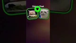 cute cat photo change in video lens #music #funny #phonkagressive