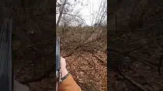 Hunting pheasant with Blackpowder Percussion Cap Muzzleloading Shotgun