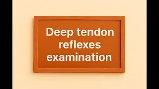 Deep tendon reflexes examination