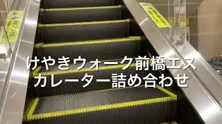 けやきウォーク前橋エスカレーター詰め合わせ escalator Keyaki Walk Maebashi shopping mall Gunma Japan