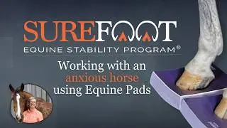 Working with an anxious horse using SURE FOOT Equine Pads