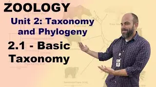 Zoology Unit 2 - 2.1 - Basic Taxonomy