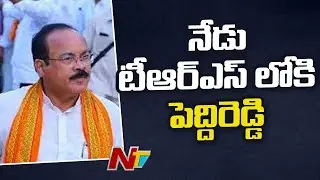 Former Minister Peddireddy is Joining the TRS Party Today in the Presence of CM KCR | NTV