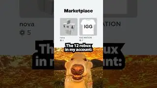 Roblox moment 💀