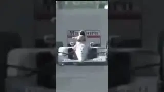 🏆🏆🏆 | AYRTON SENNA | SUZUKA | 1991
