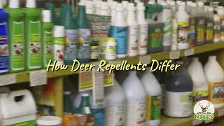 How Deer Repellents Differ
