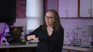 When Microbes Dream 2023