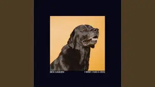 I Wish I Had A Dog