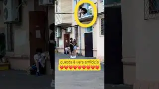dai lancia amico 🥹❤️