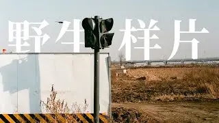LUCKY C200 & Leica M6：等冰雪到来的荒野
