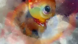 LPS Клип Cotton Candy Skies на конкурс NAVSIKAYA