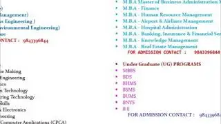 Career in Biomedical Engineering