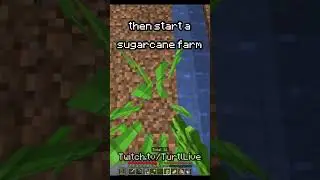 RagenSMP