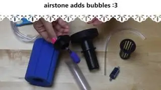How to Assemble a Sponge Filter for your Aquarium