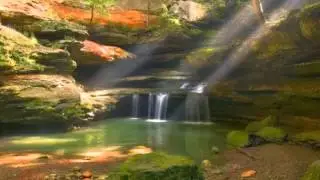 Play and Pause Nature: Serenity