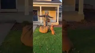 Security Cam: Soldier Drops Bag &mdash; Dog Reacts Instantly