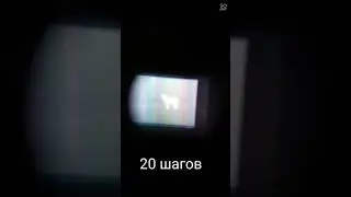 Pulsar axion key  xm 22 краткий обзор