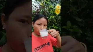 Yeningtha Changlakle🌲🌷I Mini Vlog#spring  #manaubi #manipuri #trending #cachar #yeningtha #meitei