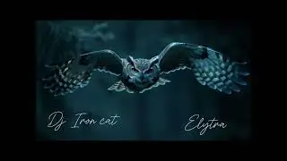 Dj Iron cat - Elytra