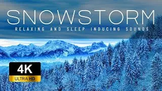 Winter Storm Ambience