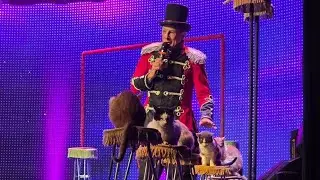 Стоит ли оно того? Честный обзор комедийного шоу Popovich Comedy Pet Theater Family Show Planet H...