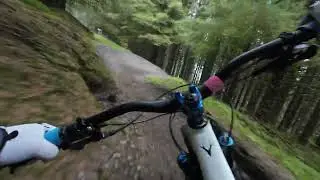 Bike park Wales - Terrys belly middle - Through the woods | Powered By Delta Bikes