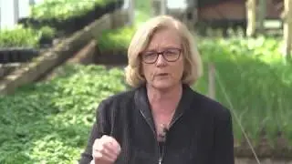Rep. Chellie Pingree on the 2018 Farm Bill