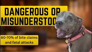 The REAL Reason Pit Bulls Are In So Many Fatal Attacks.