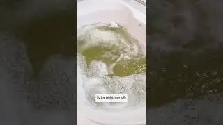 I just found a new way to clean my jet tub! 🧽