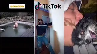 TIKTOK MEMES that will erase your pain (V1)