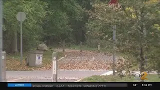 Woman Attacked On Walking Trail In Port Jefferson Station