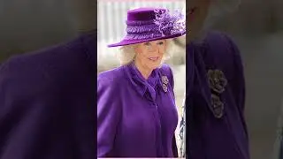 Камилла о жизни! Напряжение чувствуется