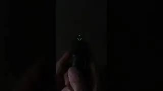 Sig P365, Springfield Hellcat, And Shield Plus Night Sights Comparison