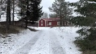Snow covered forest and problems