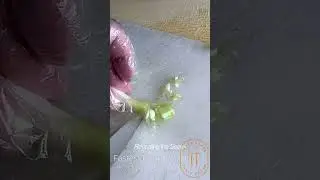 no one able to chop spring onion this fast?