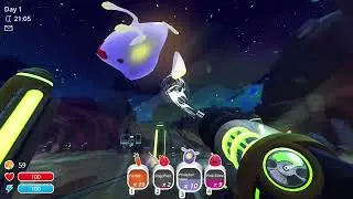 BIG TABBY (Slime Rancher)