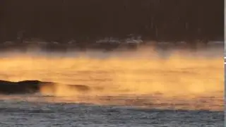 -4&deg; Arctic Sea Smoke in Maine