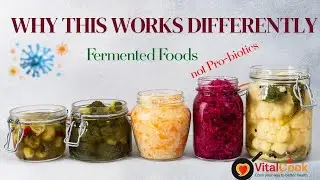 Fermented Foods Aren’t What You Think it is— See What Actually Matters for Gut Health