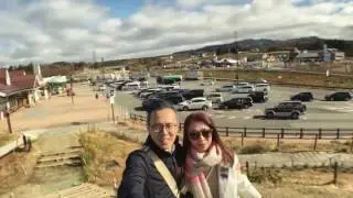 名古屋。北陸。昇龍道