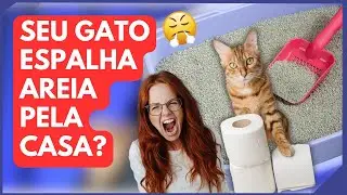 ACABE com A AREIA de GATO ESPALHADA pela CASA | SAIBA TUFO - DICAS F&Aacute;CEIS