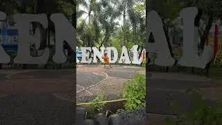 Kendal Handal! #funny #viralvideo #video