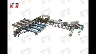 ZENYER 109 Egg Grader automatic packing machine (connect to a rod conveyor) - 30,000 eggs/hour