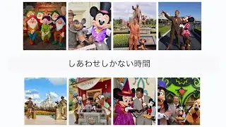 ウォルトディズニーの仮装でディズニーパークに遊びに行ったら幸せだった