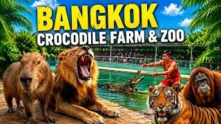 The World's largest crocodile farm, Samut Prakan Crocodile Farm & Zoo in Thailand 2026